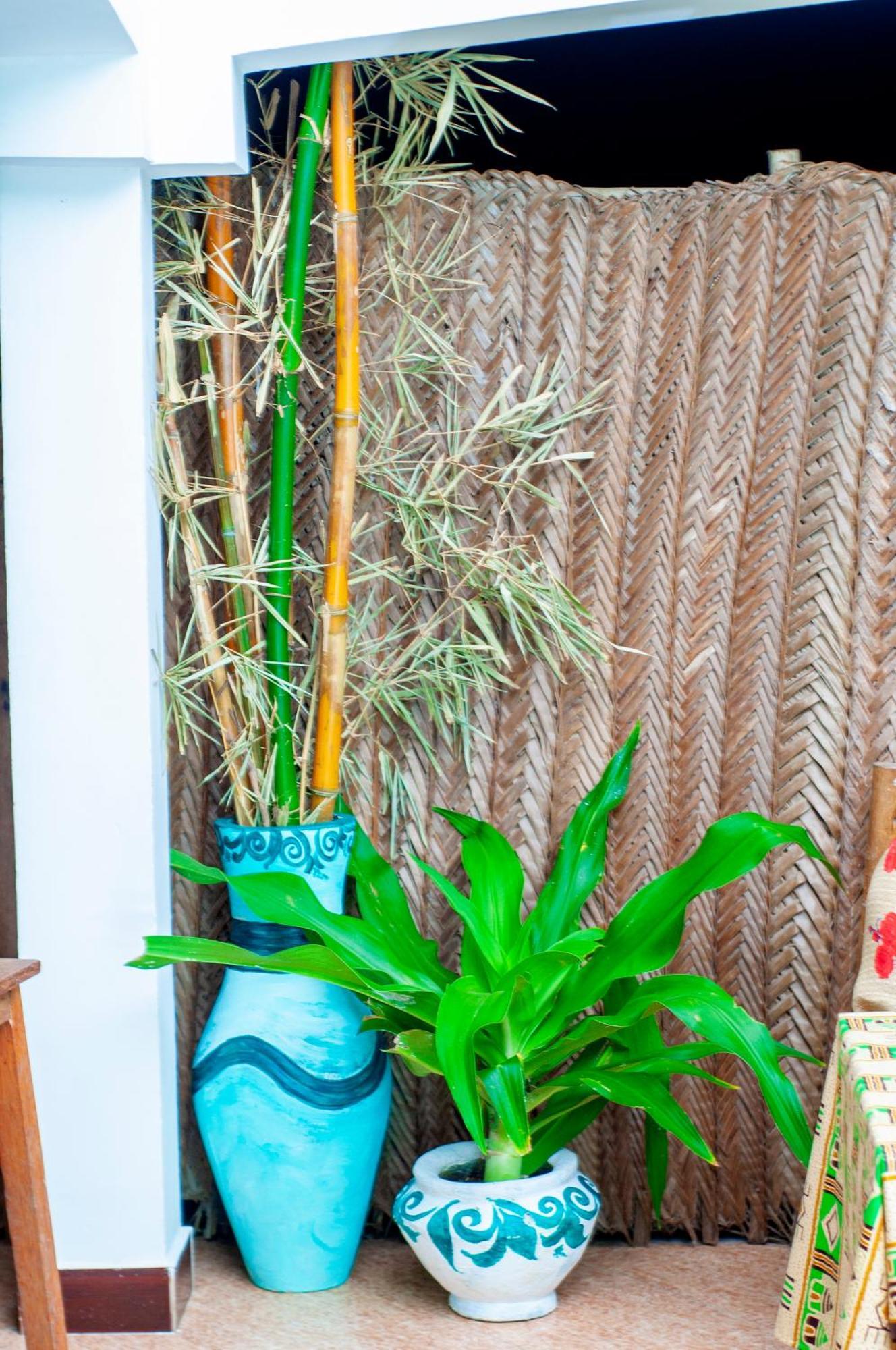 Palm Tree Villa 南威 外观 照片